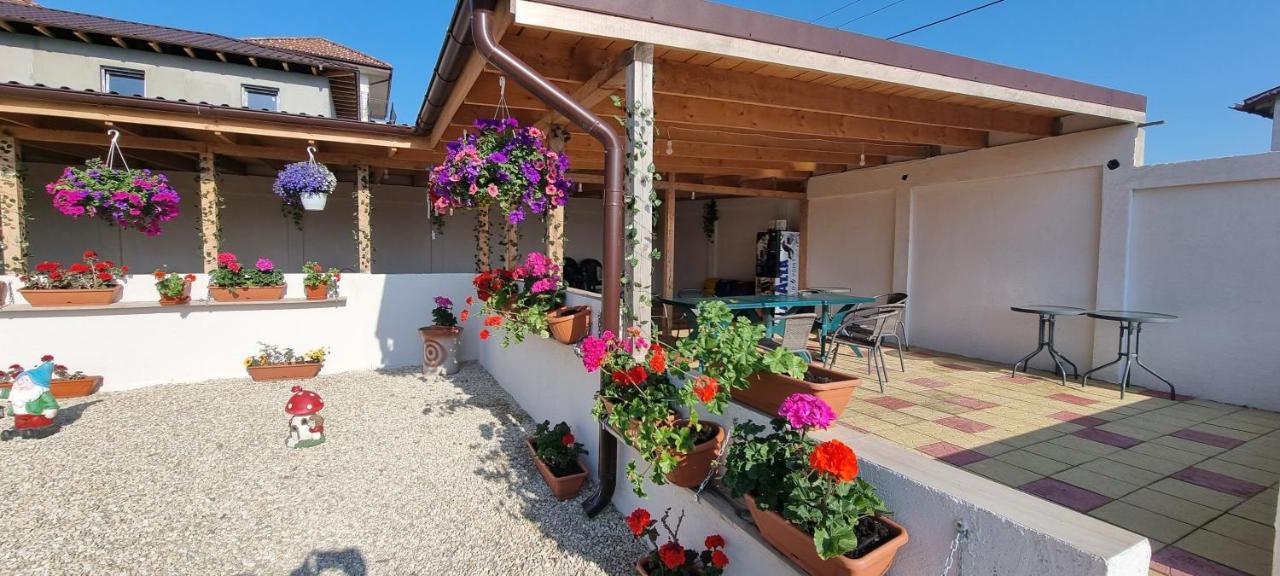 Soliday Vama Veche Exterior foto